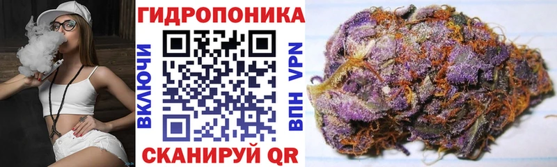 Купить наркоту Новомичуринск ГАШИШ  КОКАИН  Альфа ПВП  МЕФ 