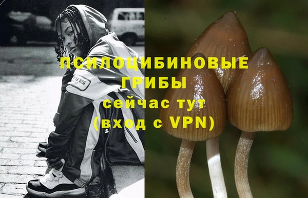 альфа пвп Белая Холуница